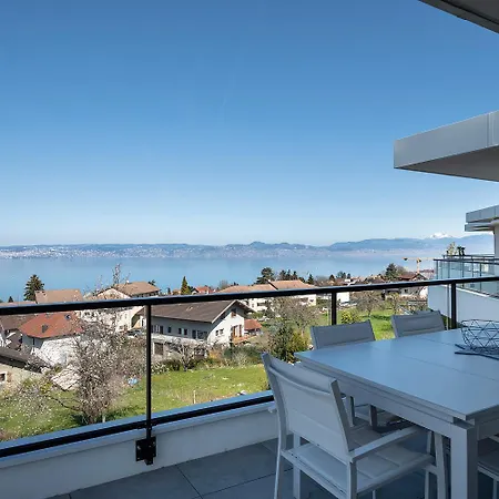 Splendid 3-room With Panoramic View Neuvecelle