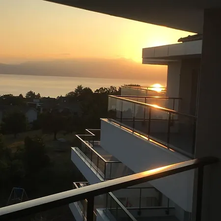 Splendid 3-room With Panoramic View Neuvecelle